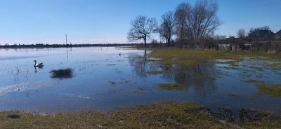 водопілл, підтоплення Волинь водопілл, підтоплення Волинь