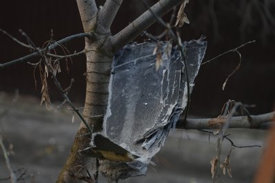 Вибухи у Сумах 17 лютого: є влучання по об’єктах цивільної інфраструктури Вибухи у Сумах 17 лютого: є влучання по об’єктах цивільної інфраструктури