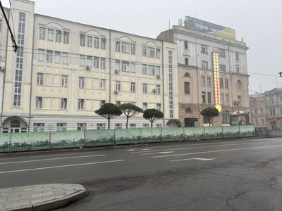 Сосни у центрі Харкова Сосни у центрі Харкова