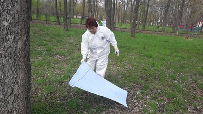 На Кіровоградщині зростає кількість укусів кліщів: які аналізи здавати й що робити із комахою На Кіровоградщині зростає кількість укусів кліщів: які аналізи здавати й що робити із комахою