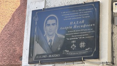 Ремонт алеї Андрія Палая в Ужгороді: чи вирубають 100 дерев Ремонт алеї Андрія Палая в Ужгороді: чи вирубають 100 дерев