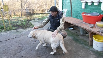 З Донеччини на Вінниччину З Донеччини на Вінниччину