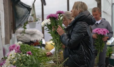 "Цей запах передає атмосферу свята й осені": родина з Черкащини вирощує хризантеми "Цей запах передає атмосферу свята й осені": родина з Черкащини вирощує хризантеми