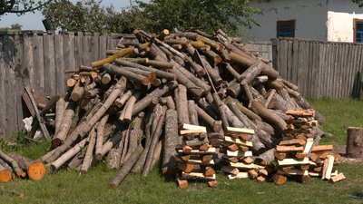 Раніше вирувало життя, тепер — один житель: спогади про спорожніле село на Чернігівщині Раніше вирувало життя, тепер — один житель: спогади про спорожніле село на Чернігівщині