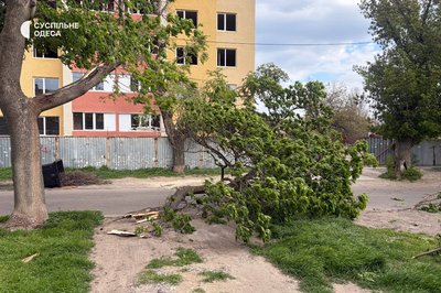 В Одесі через сильний вітер фіксують повалені дерева та пилову бурю, діє штормове попередження