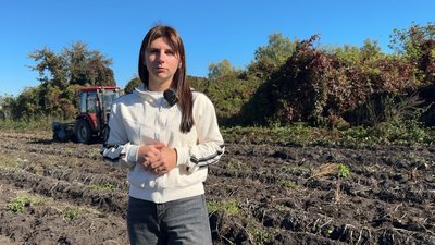 «На пюрешку дуже смачна»: як подружжя фермерів з Чернігівщини вирощує картоплю та шукає клієнтів у TikTok «На пюрешку дуже смачна»: як подружжя фермерів з Чернігівщини вирощує картоплю та шукає клієнтів у TikTok