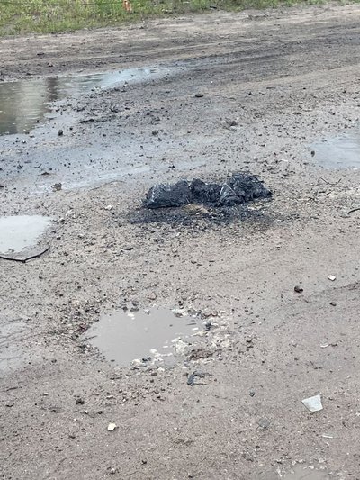 Вовка у центрі села сприйняв, як попередження — староста Стецьківки розповів, як збив FPV-дрон з рушниці Вовка у центрі села сприйняв, як попередження — староста Стецьківки розповів, як збив FPV-дрон з рушниці