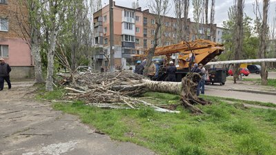 Наслідки негоди в Миколаєві: повалені дерева, пошкоджені будинки, авто та тепломережа Наслідки негоди в Миколаєві: повалені дерева, пошкоджені будинки, авто та тепломережа