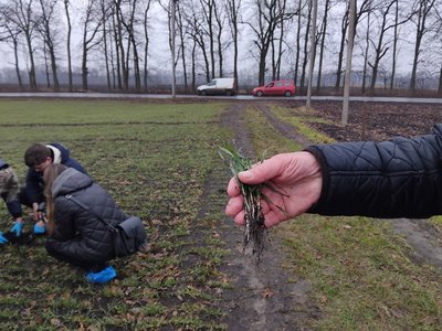 "Вегетація йде пасивно": як тепла зима впливає на посіви озимих "Вегетація йде пасивно": як тепла зима впливає на посіви озимих