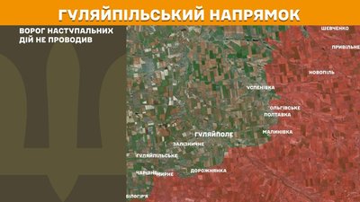 чернетка чернетка