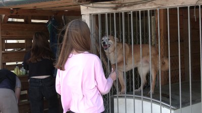 "Це наші друзі й товариші по життю": як у центрі адопції на Рівненщині прилаштовують тварин "Це наші друзі й товариші по життю": як у центрі адопції на Рівненщині прилаштовують тварин
