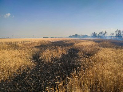 Від початку року на Миколаївщині виникло 922 пожежі — ДСНС Від початку року на Миколаївщині виникло 922 пожежі — ДСНС