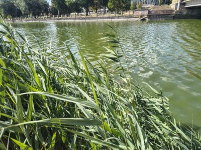 У Кропивницькому на кілька тижнів понизять рівень води в Інгулі для проведення робіт У Кропивницькому на кілька тижнів понизять рівень води в Інгулі для проведення робіт