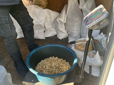 горіхи ціна, волоські горіхи, грецькі горіхи