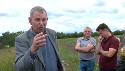 Проблемний ставок Проблемний ставок
