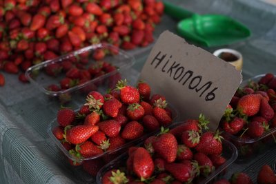 Врожайність низька через холод. Ціни на полуницю на центральному та стихійних ринках Дніпра Врожайність низька через холод. Ціни на полуницю на центральному та стихійних ринках Дніпра