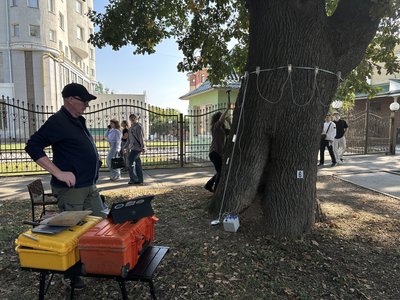 Досліджують 100-річні дерева у Полтаві за допомоги німецьких фахівців Досліджують 100-річні дерева у Полтаві за допомоги німецьких фахівців
