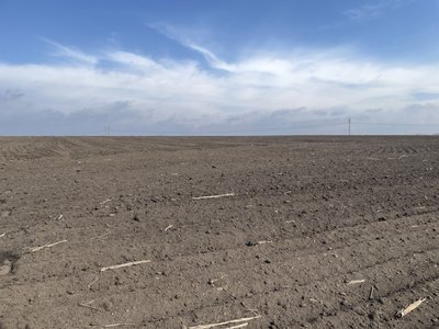 "Закриваємо вологу": на Полтавщині аграрії розпочали підготовку до посівної "Закриваємо вологу": на Полтавщині аграрії розпочали підготовку до посівної