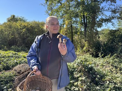 «Вражає печінку незворотньо»: скільки випадків отруєння грибами зафіксували на Полтавщині «Вражає печінку незворотньо»: скільки випадків отруєння грибами зафіксували на Полтавщині