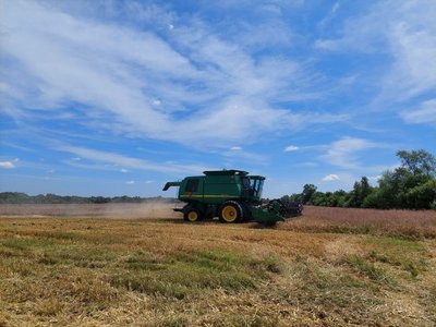 На Львівщині розпочали жнива: збирають врожай ячменю
