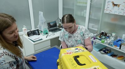 У Черкасах волонтери припинили роботу з відлову та стерилізації котів У Черкасах волонтери припинили роботу з відлову та стерилізації котів