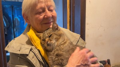«Вони мене тримають на світі»: 77-річна чернігівка прихистила 17 котів та п'ять собак