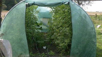 Благодійники надають жителям Хмельниччини кошти на започаткування домашнього господарства Благодійники надають жителям Хмельниччини кошти на започаткування домашнього господарства