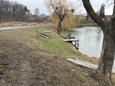 "Риба вся спливає": на межі Полтави та Горбанівки гине риба у ставках "Риба вся спливає": на межі Полтави та Горбанівки гине риба у ставках