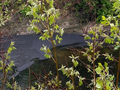 У Кременчуці стан води у Дніпрі у межах норми після обстрілу: що показали аналізи У Кременчуці стан води у Дніпрі у межах норми після обстрілу: що показали аналізи