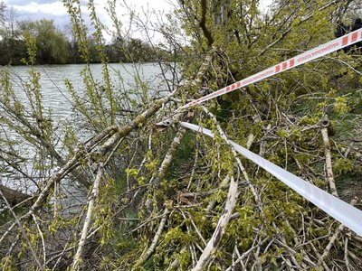 Стан хлопчика, на якого під час буревію 26 квітня у Полтаві впало дерево, покращився Стан хлопчика, на якого під час буревію 26 квітня у Полтаві впало дерево, покращився