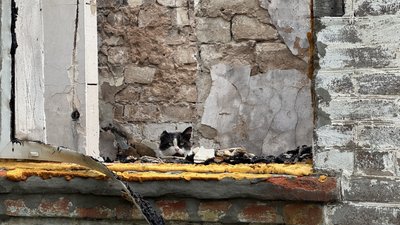 Руйнування після обстрілів Райгородок Донецька область 2 липня 2025 рік Руйнування після обстрілів Райгородок Донецька область 2 липня 2025 рік