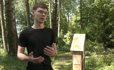 Олександр Бобесюк, Будиночки для комах Олександр Бобесюк, Будиночки для комах