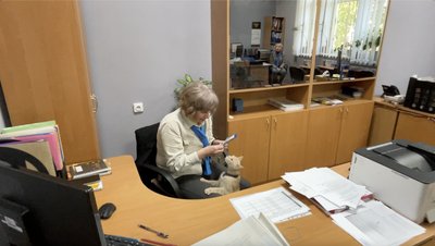 "Позаштатний охоронець": як кіт Грант став частиною колективу Уманського центру зайнятості "Позаштатний охоронець": як кіт Грант став частиною колективу Уманського центру зайнятості