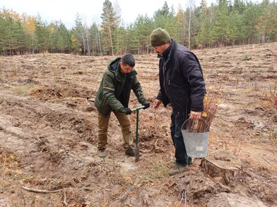 Осіння висадка на Полтавщині: скільки гектарів з’явиться нового лісу Осіння висадка на Полтавщині: скільки гектарів з’явиться нового лісу