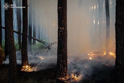 На Полтавщині другий день продовжують гасити лісову пожежу На Полтавщині другий день продовжують гасити лісову пожежу