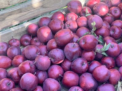 Львівські фермери зібрали 52% врожаю фруктів та ягід