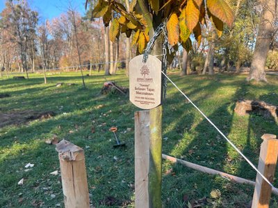 У Львові на честь загиблих воїнів "Правого сектора" висадили алею дерев