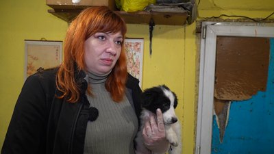Народила в дорозі п'ятьох кошенят. З Костянтинівки на Донеччині до Дніпра евакуювали вагітну кішку Народила в дорозі п'ятьох кошенят. З Костянтинівки на Донеччині до Дніпра евакуювали вагітну кішку