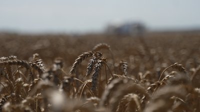 Понад 600 тисяч тонн минулорічного врожаю залишається на складах: чому підприємці Чернігівщини не продають зерно Понад 600 тисяч тонн минулорічного врожаю залишається на складах: чому підприємці Чернігівщини не продають зерно