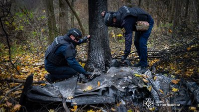 На Чернігівщині сапери ДСНС знешкодили бойові частини російських безпілотників, які не здетонували На Чернігівщині сапери ДСНС знешкодили бойові частини російських безпілотників, які не здетонували