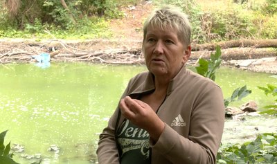 "Дихати неможливо": щоліта в річці Гнилий Тікич застоюється вода та задихається риба "Дихати неможливо": щоліта в річці Гнилий Тікич застоюється вода та задихається риба