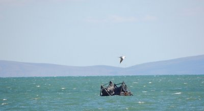 Бонові загородження біля Керчі, окупований Крим, жовтень 2024 року Бонові загородження біля Керчі, окупований Крим, жовтень 2024 року