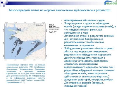 Екоцид у Чорному морі: мазут із Керченської протоки досяг Одещини, постраждали сотні птахів і китоподібних Екоцид у Чорному морі: мазут із Керченської протоки досяг Одещини, постраждали сотні птахів і китоподібних