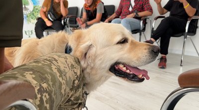 Каністерапія: як собаки Гаєчка та Річард допомагають з реабілітацією військових на Рівненщині Каністерапія: як собаки Гаєчка та Річард допомагають з реабілітацією військових на Рівненщині