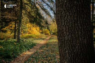 одеський ботсад