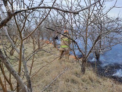 У Запорізькій області на відкритих територіях сталося дев'ять пожеж — ДСНС У Запорізькій області на відкритих територіях сталося дев'ять пожеж — ДСНС