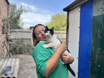 Притулок для тварин собаки коти кішка Цукерочка Костянтинівка Донецька область 4 жовтня 2024 Притулок для тварин собаки коти кішка Цукерочка Костянтинівка Донецька область 4 жовтня 2024