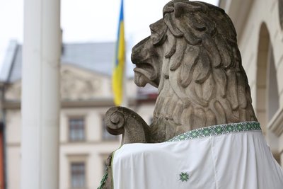 день вишиванки фото