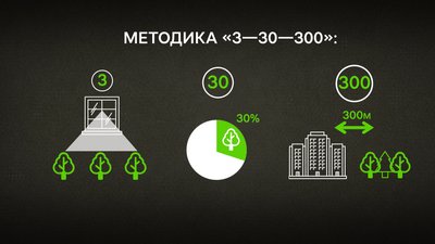 Чи достатньо у Полтаві дерев та що робити з омелою: дослідження озеленення Чи достатньо у Полтаві дерев та що робити з омелою: дослідження озеленення