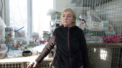 Понад 100 собак живуть у Центр стерилізації тварин у Рівному